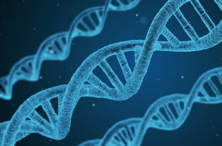 חוששים להיכנס להיריון בגיל מבוגר? זה מה שאתם צריכים לדעת...