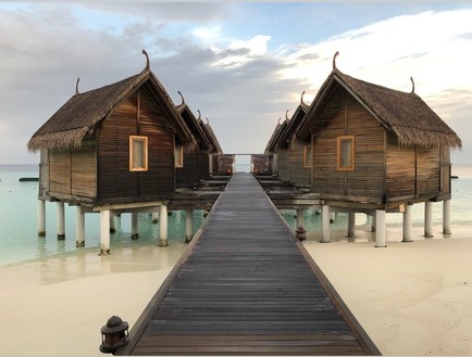 התקף קנאה: לוסי אהריש וצחי הלוי ממיסים לנו את הלב!