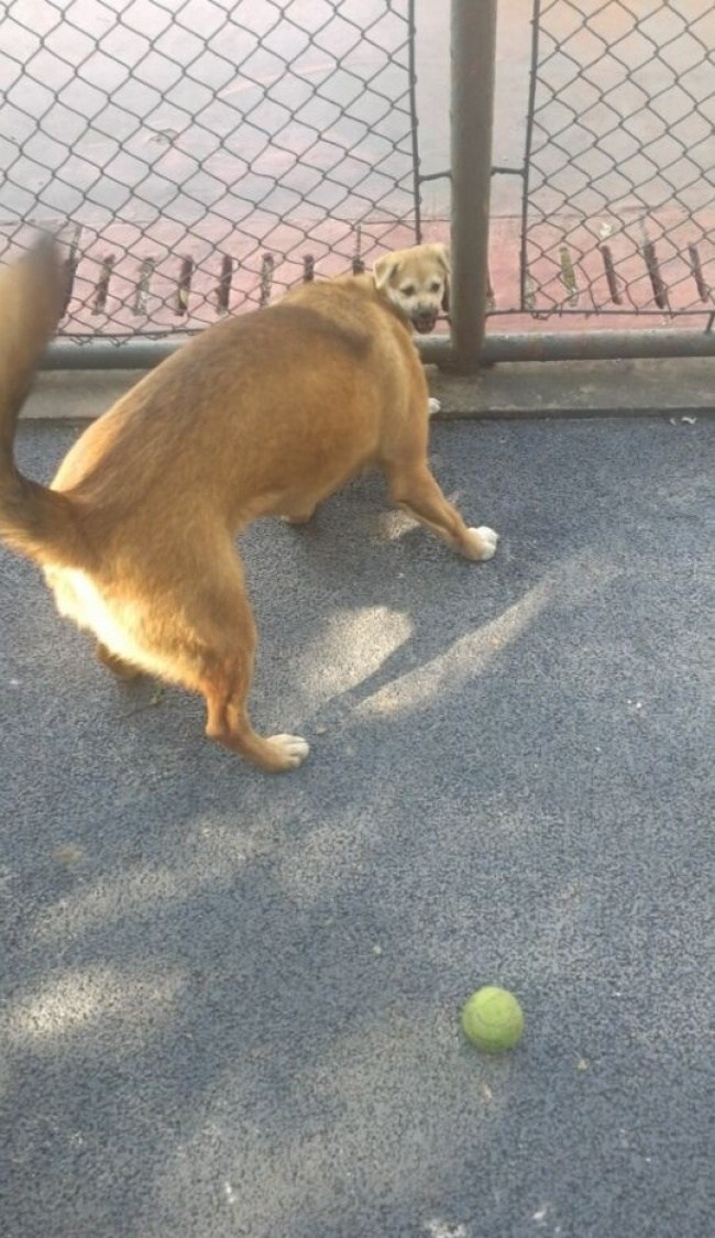 תמונות מבלבלות שתהיו חייבים לבדוק טוב טוב כדי להבין!