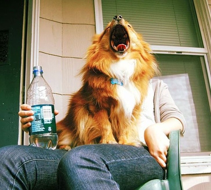 22 תמונות שמראות שלא תמיד אנחנו יכולים לסמוך על העיניים שלנו