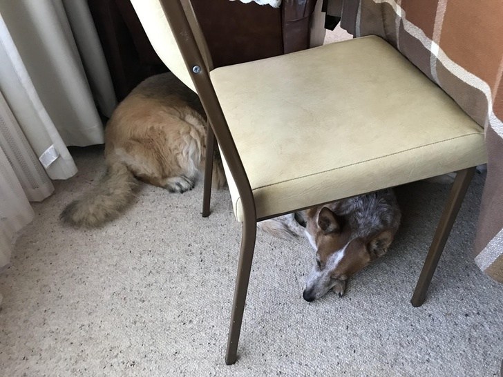 22 תמונות שמראות שלא תמיד אנחנו יכולים לסמוך על העיניים שלנו