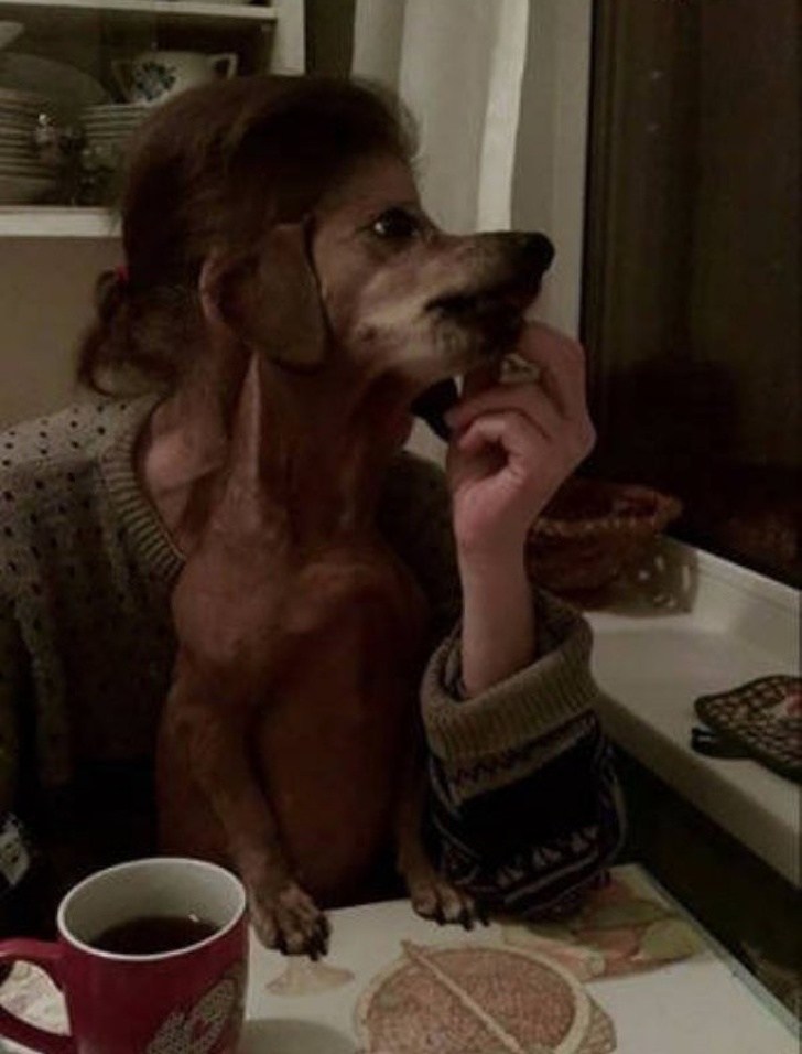 22 תמונות שמראות שלא תמיד אנחנו יכולים לסמוך על העיניים שלנו