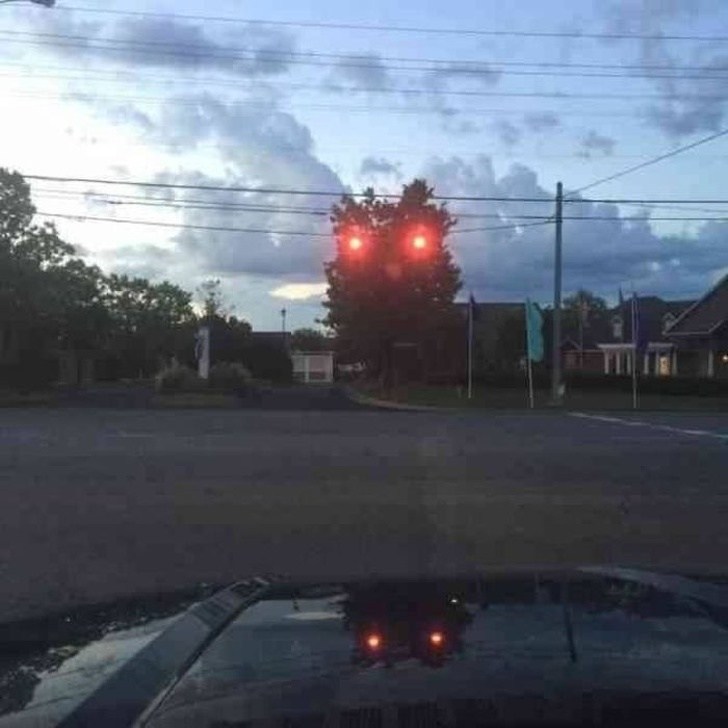 22 תמונות שמראות שלא תמיד אנחנו יכולים לסמוך על העיניים שלנו