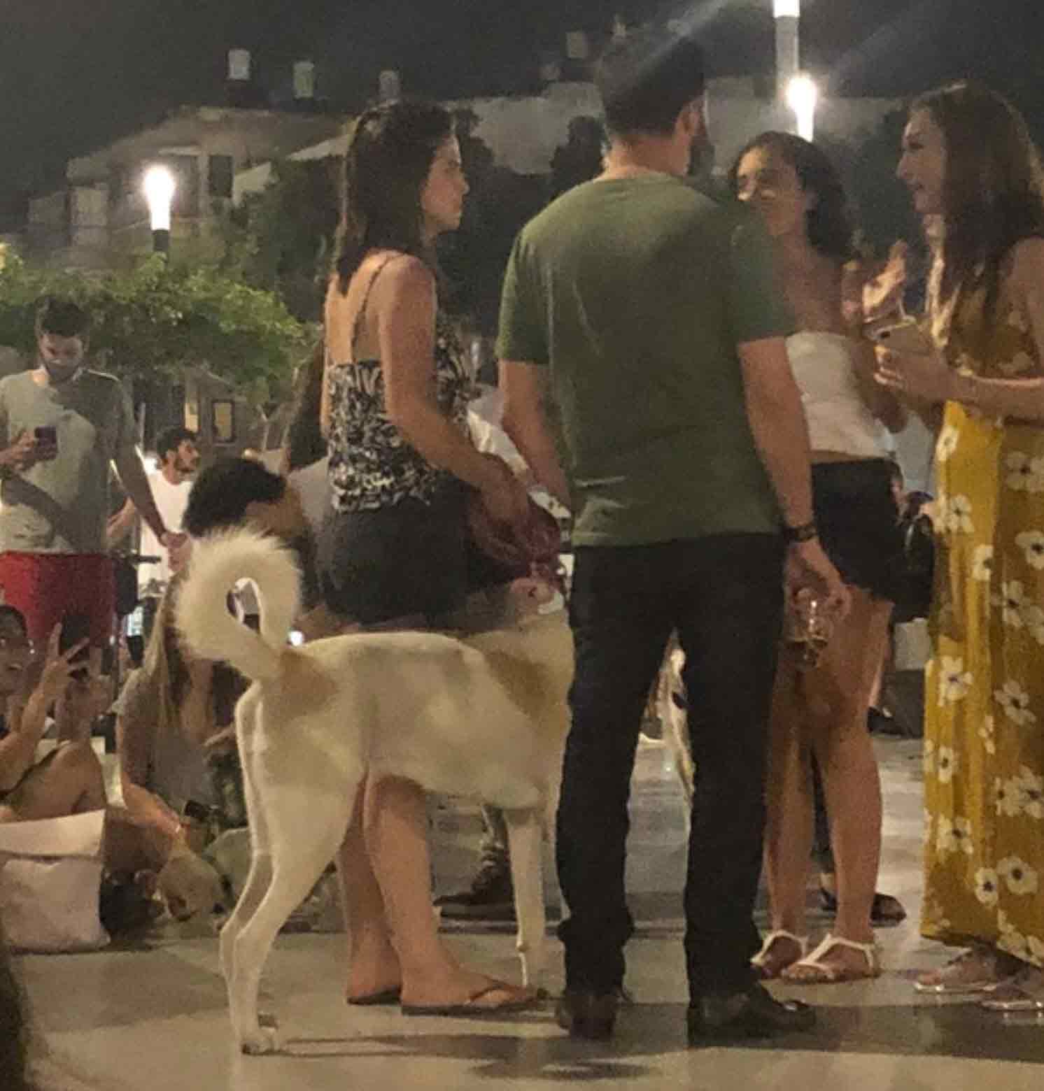 צמודים!? מה עשו ביחד דנית וניר מחתונה ממבט ראשון?