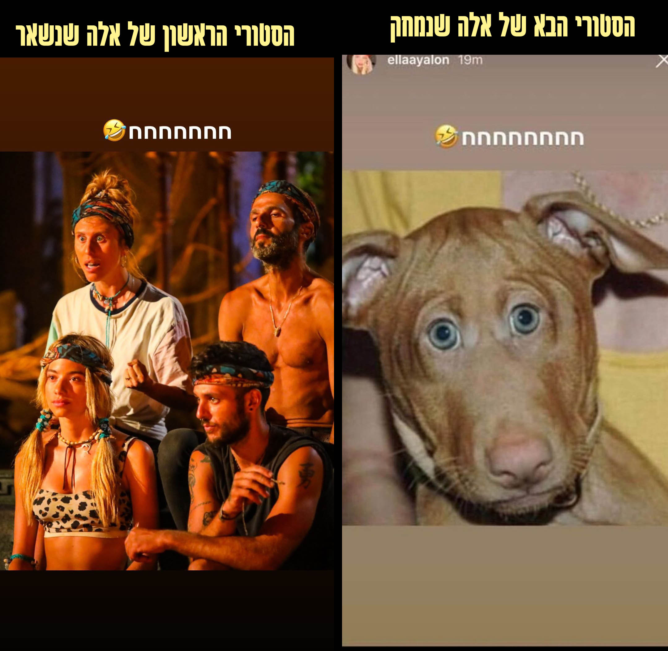 עברה את הגבול: היריבות בין אלה איילון לאלינה לוי גרמה לה ללכת רחוק מדי!?