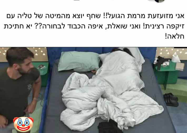 שחף זקפה