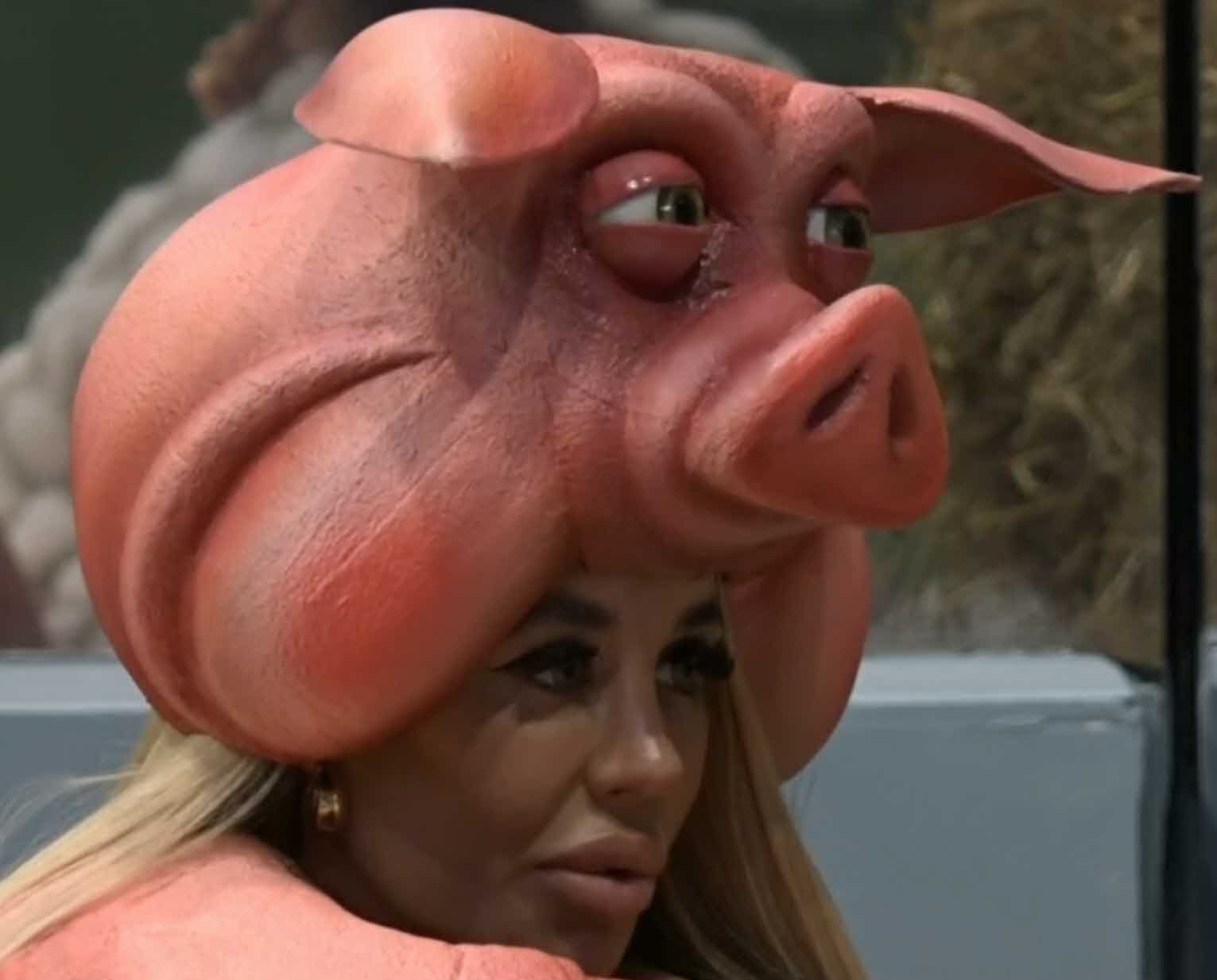 הפיצוץ בין אברהם וסתיו לגל וגיא שיצא משליטה ונגמר בהערה גזענית!?