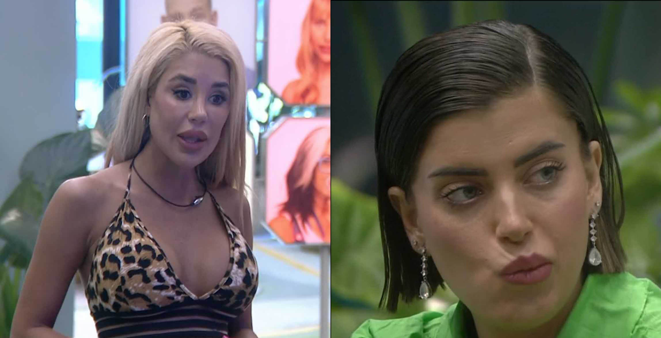 אברהם מתפוצץ על ספיר:"עשיתי ממתקים שסתיו אמרה לי חרם ואת ירית לעצמך בשתי הרגליים"