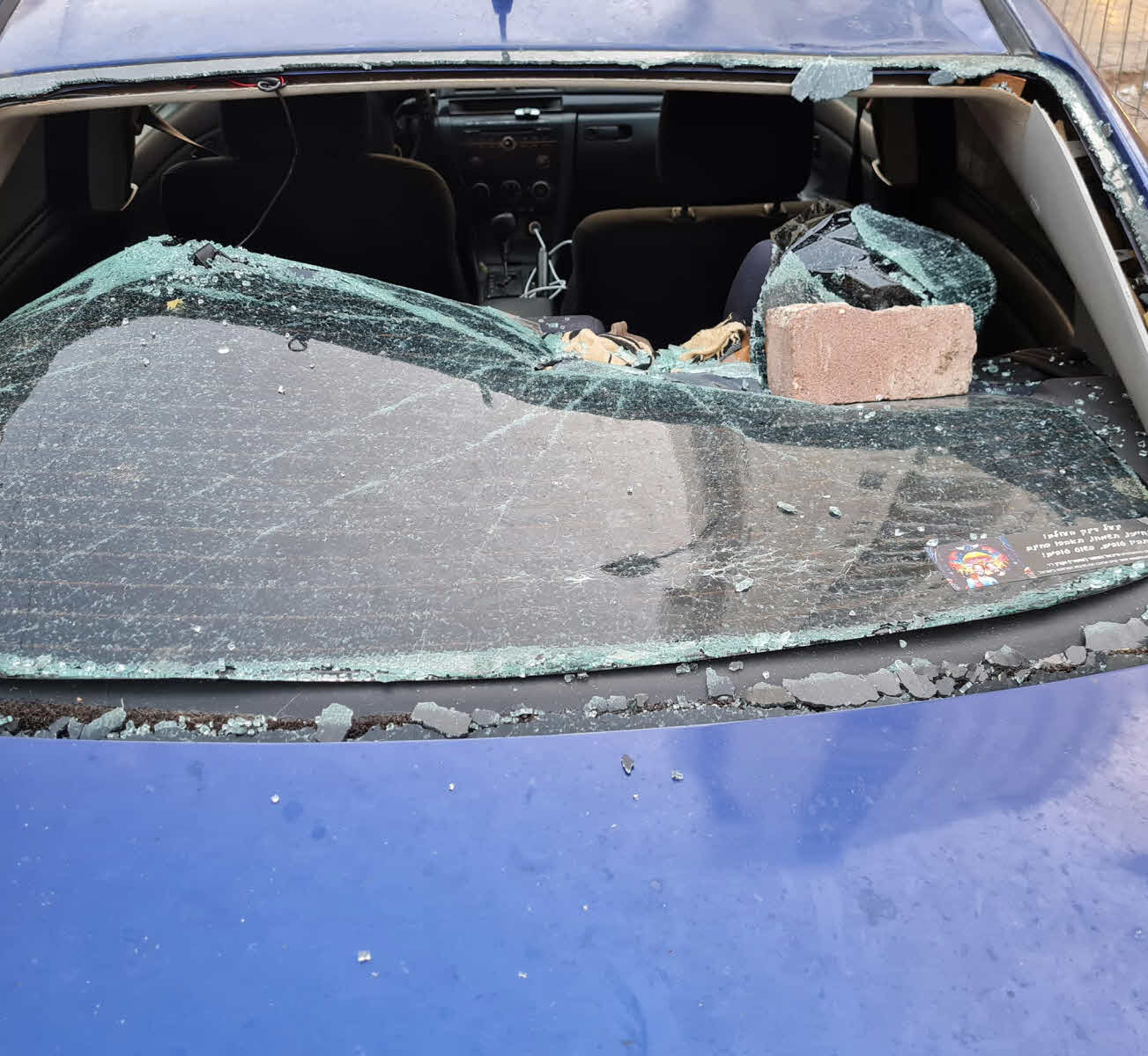 יגמר במשטרה? מיכל רנד תחת מתקפה אלימה: "ביטוח לאומי משלם חזירים"