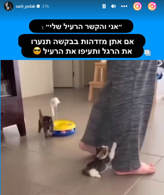 שרית פולק חושפת בתדהמה: "מפחיד להיות אישה כאן"