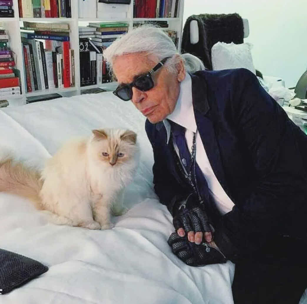 מזהים אותם? התחפושת השערורייתית של יוצאי האח הגדול