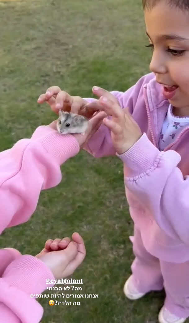 דניאל גרינברג בהלם: זה הדבר שאייל גולן ביקש מבתם המשותפת