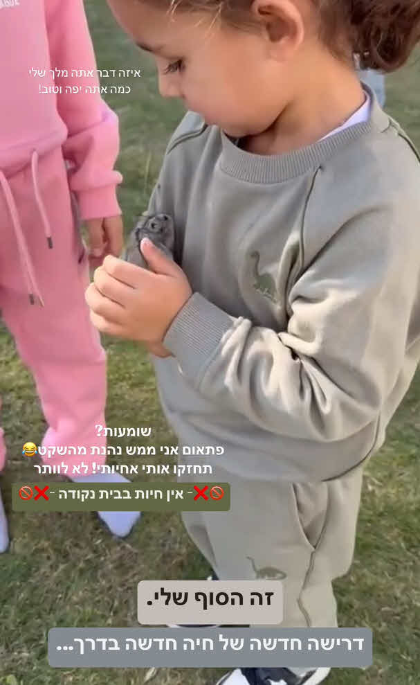 דניאל גרינברג בהלם: זה הדבר שאייל גולן ביקש מבתם המשותפת