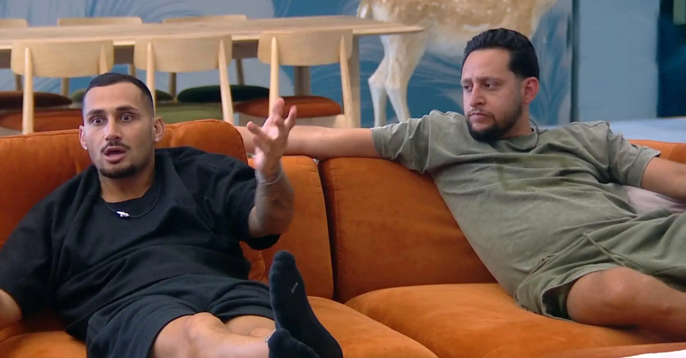 מוגרבי עוקץ וחוטף: "חסר עמוד שדרה, אשמח לראות אותך עולה במדרגות"