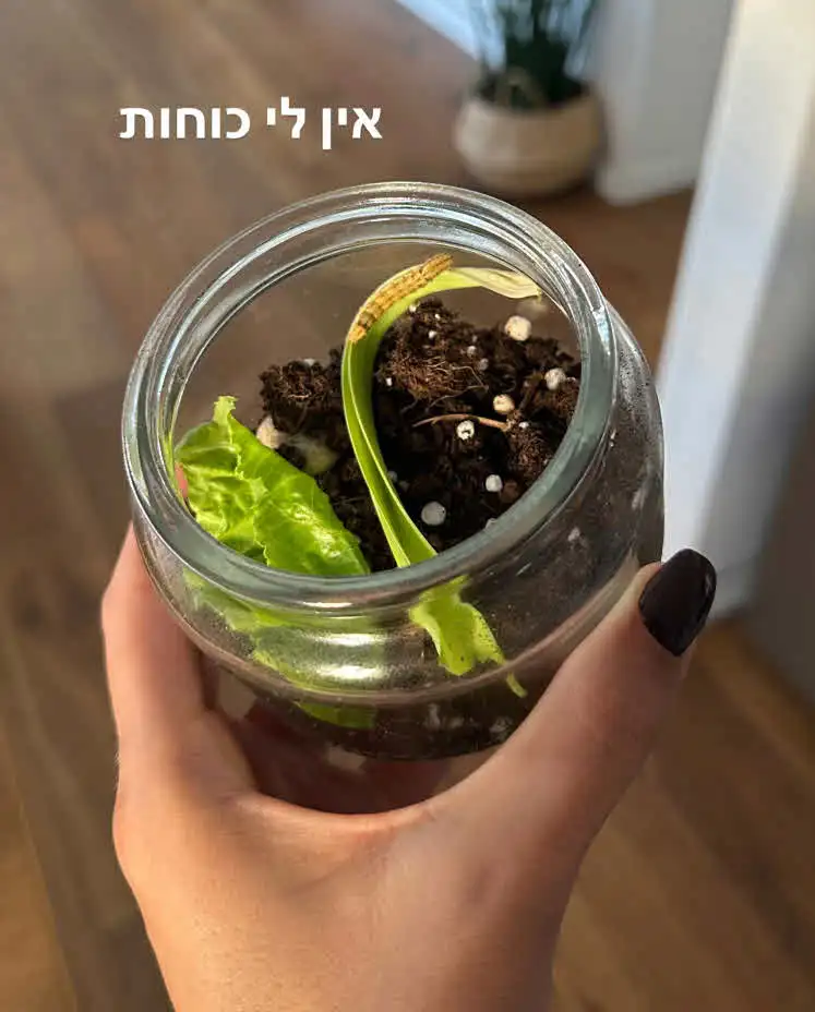 טליה עובדיה במסר לבעלה: "אנחנו ממש לא רוצים אותה דיירת"