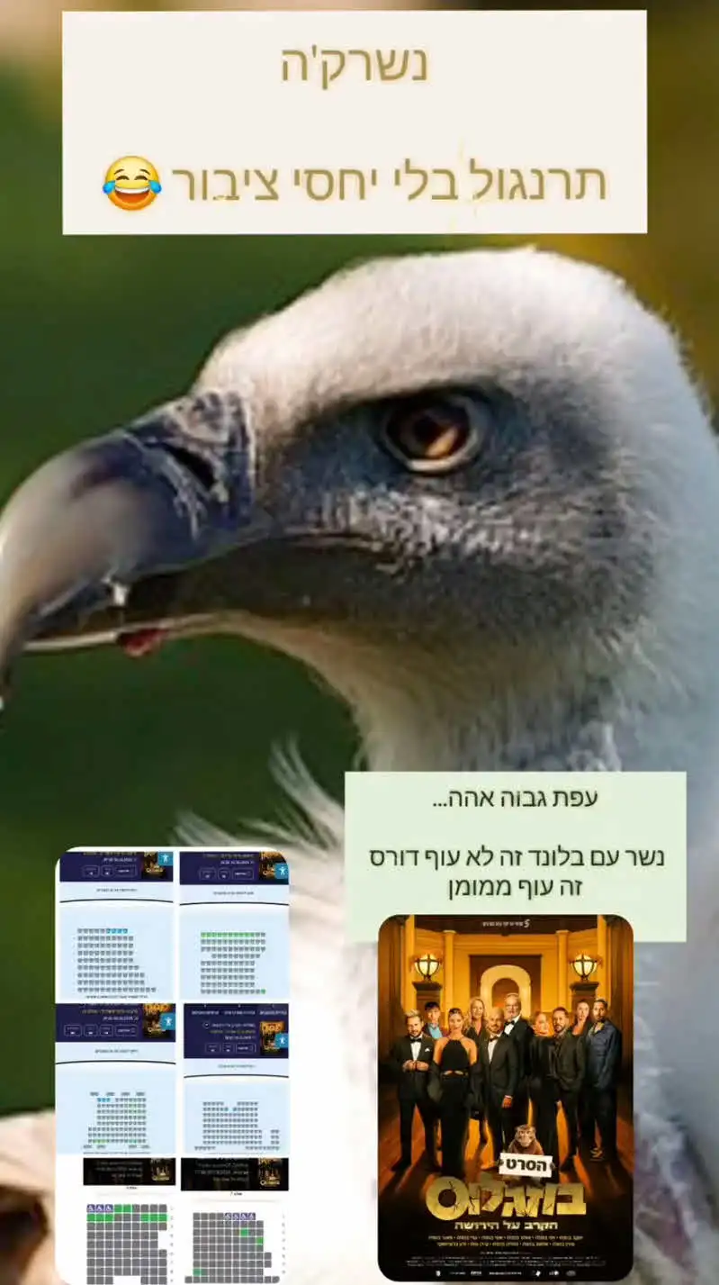 רון נשר נגד אוהד בוזגלו: "תוקע פצועות, אני אעשה אותך יותר גמד"