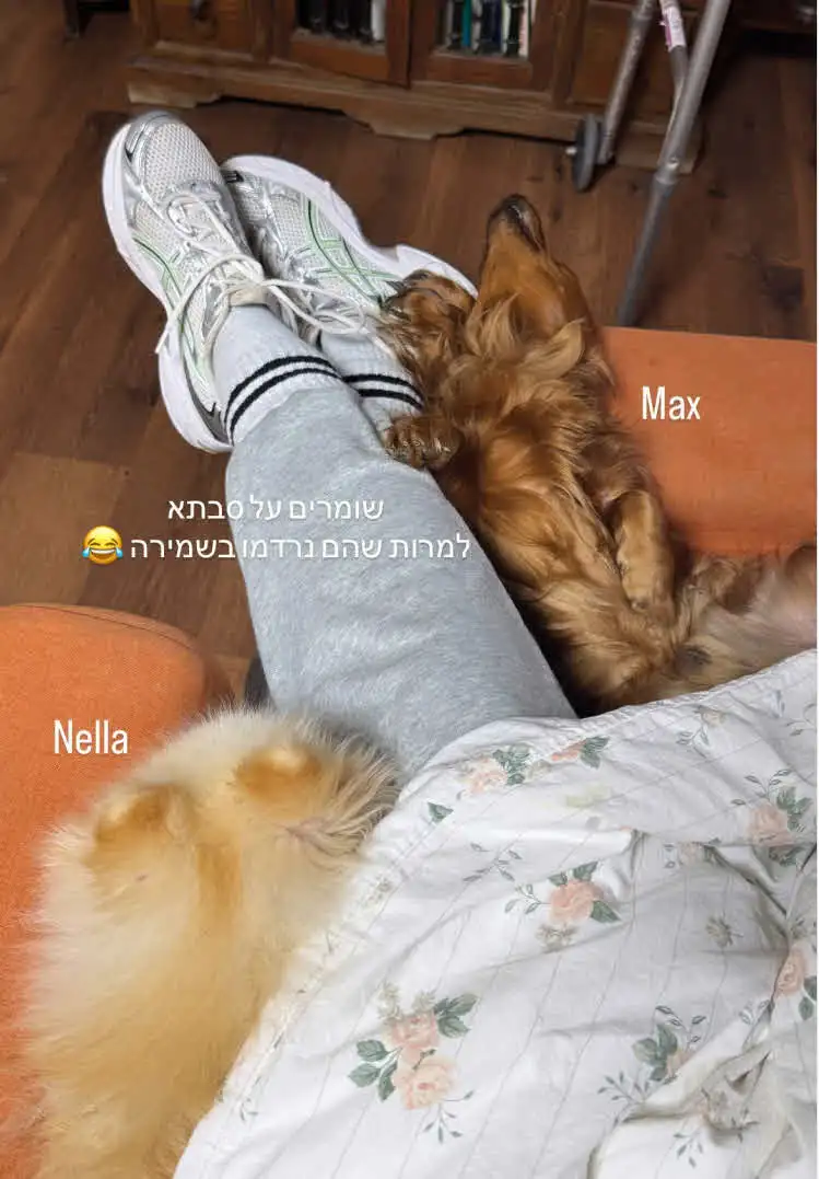 מעיין אשכנזי בהודעה דרמטית לעוקביה: "היא עברה אירוע מוחי"