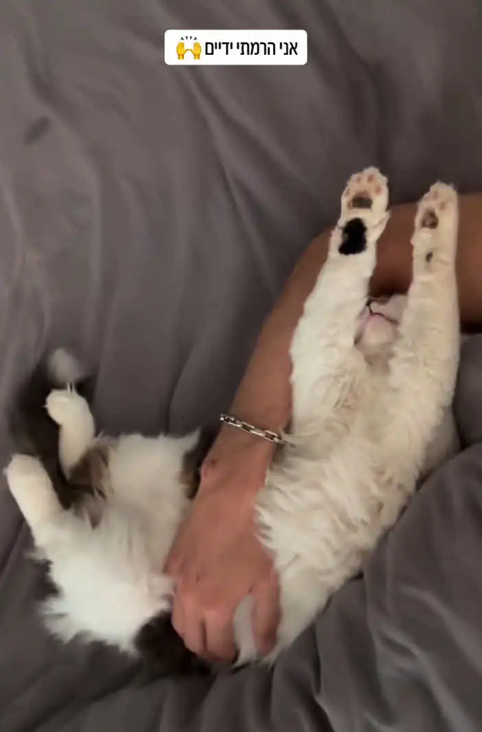 מייקל לואיס מרים ידיים: "אם ייקח אותי טיל שייקח אותי ככה"