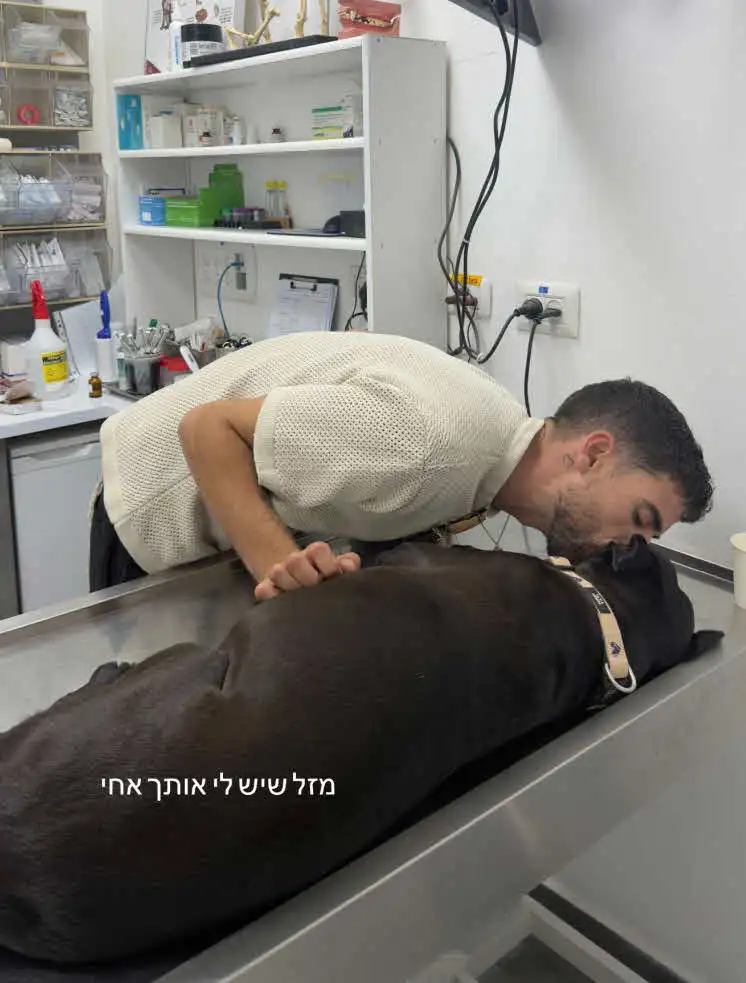 ספיר בורגיל רועדת בדמעות: "היא גוססת לי בידיים"
