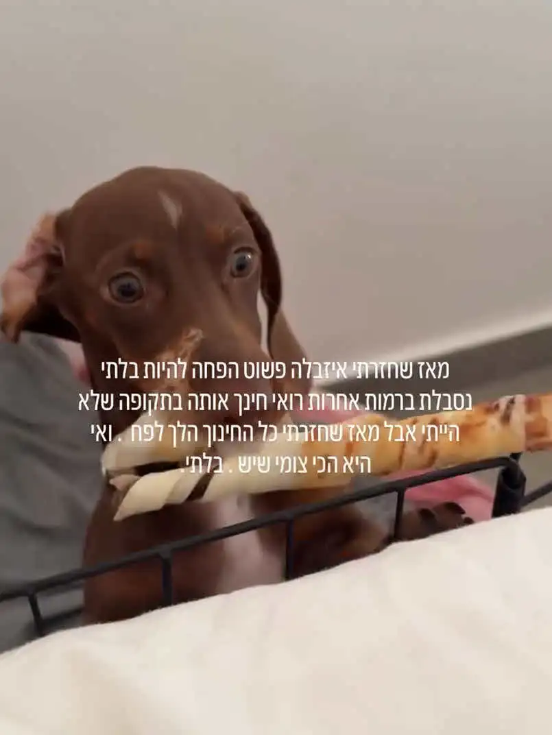 בן זוגה של רפאלה טווינה נשבר: "זה לא יכול להמשיך ככה רפאלה"