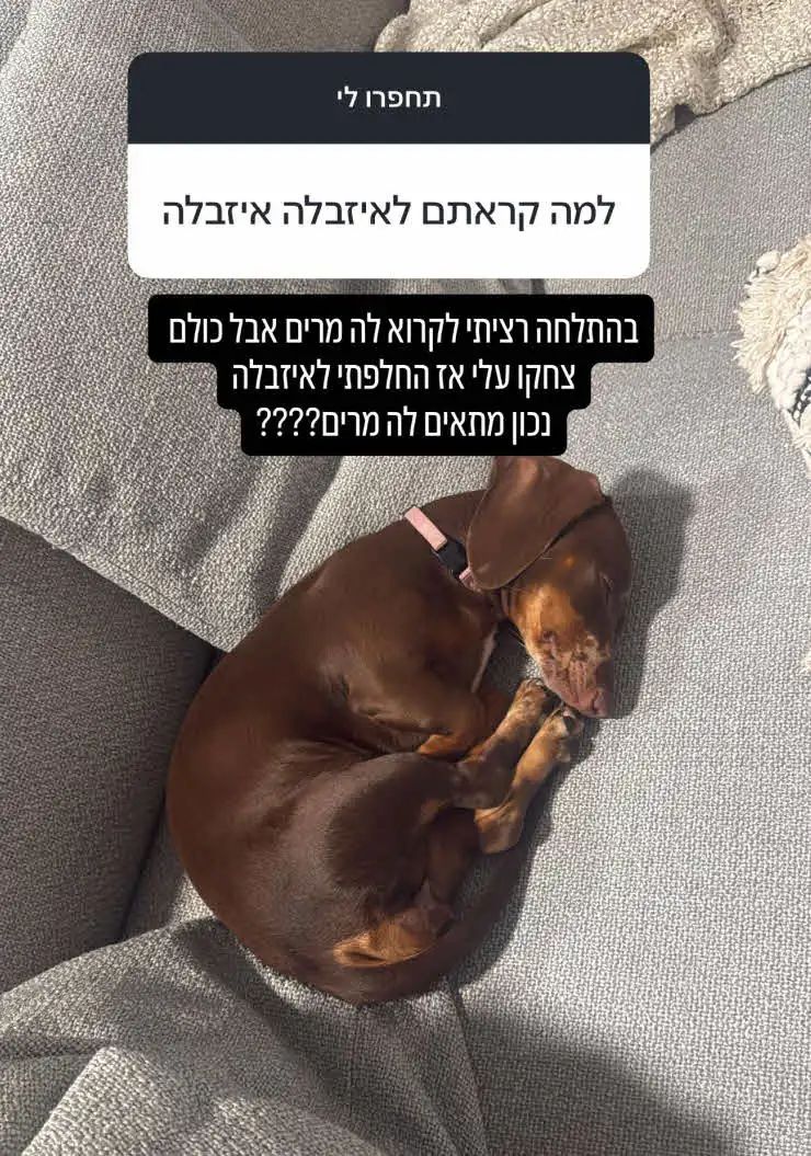 "המשטרה הגיעה, איבדתי הכרה": המקרה המזעזע של רפאלה טווינה