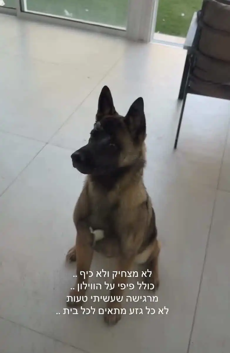 ספיר בורגיל נפצעה בפניה ואז נשברה: "מרגישה שעשיתי טעות"